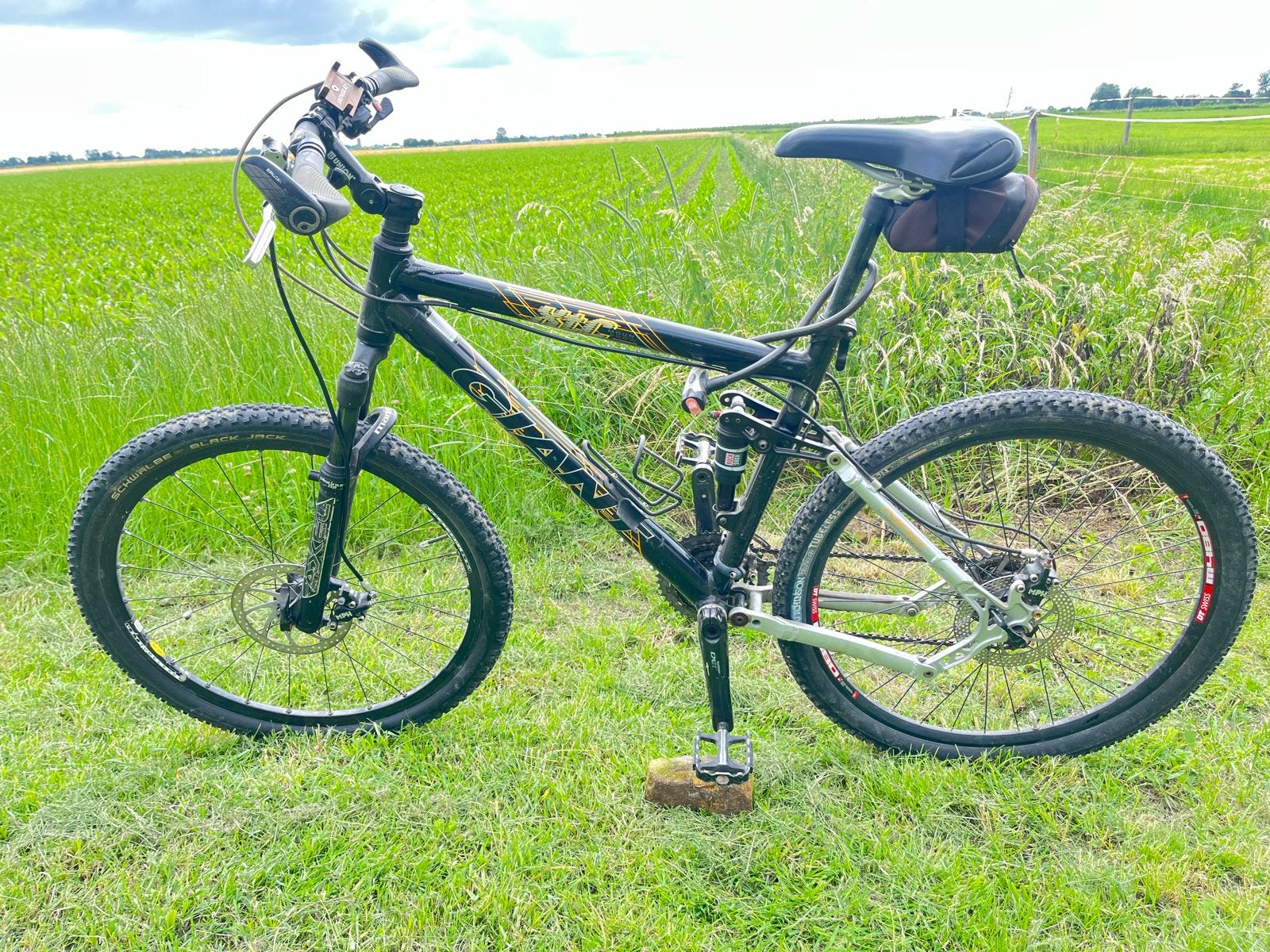 Giant Mountainbike - Full Suspension fully, Gebruikt, 45 tot 49 cm, Schijfrem, Heren