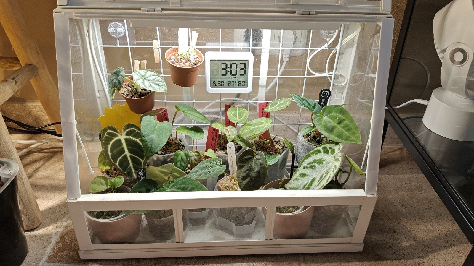 Ikea Akerbar kweekkast met Barrina T5 groeilampen, Tuin en Terras, Kweekspullen, Ophalen, Zo goed als nieuw, Kweekkast