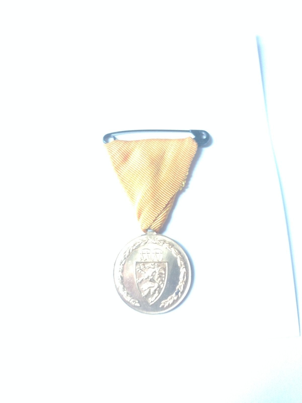 Brandweer Oostenrijk medaille 25 jaar vrijw. dienst bw, Ophalen of Verzenden, Overige soorten, Lintje, Medaille of Wings