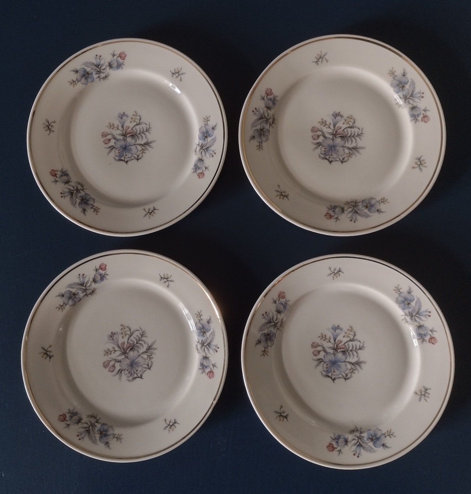 Vintage Hutschenrheuter Evelyn Gebak Bordjes Porselein, Ophalen of Verzenden, Porselein, Overige stijlen, Bord(en)