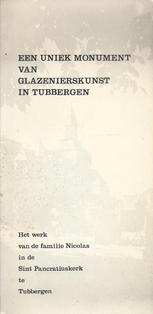 Een uniek monument van glazenierskunst in Tubbergen, Boeken, Geschiedenis | Stad en Regio, Ophalen of Verzenden, Gelezen