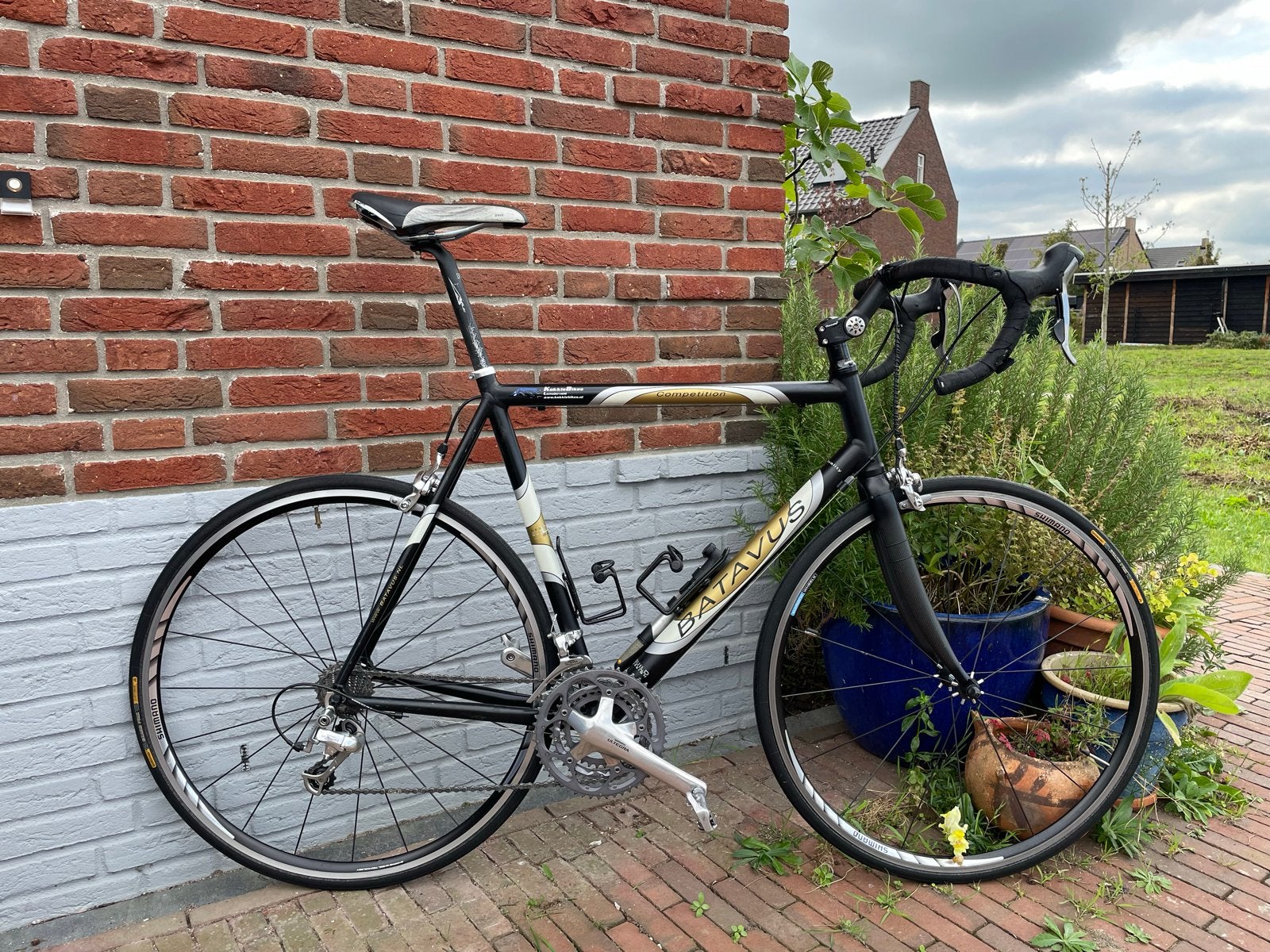 Batavus competition racefiets/wielrenfiets, Fietsen en Brommers, Ophalen, 28 inch, Gebruikt, Batavus