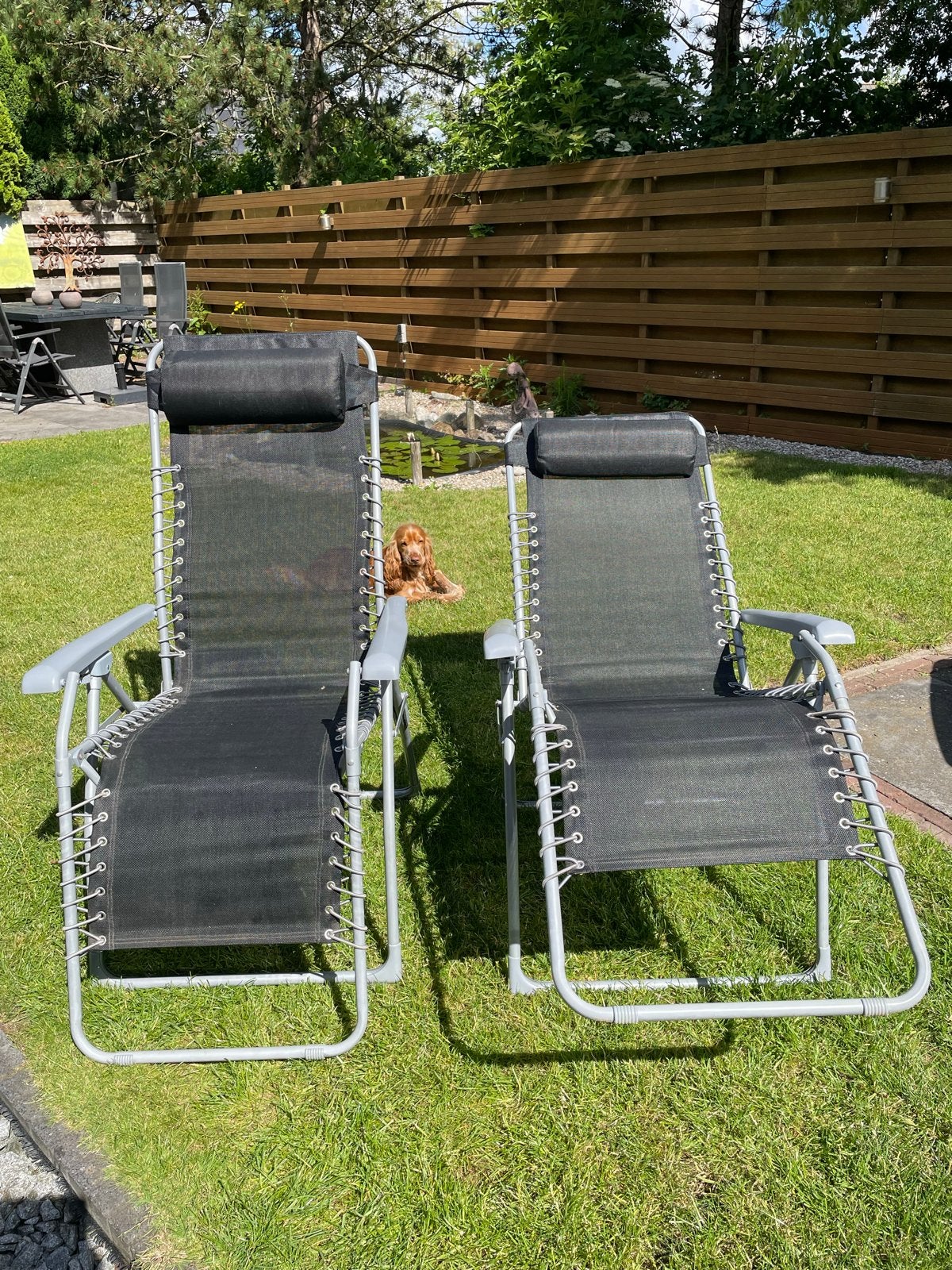 2x Verstelbare Relaxstoelen - Tuinstoelen, Ophalen, Gebruikt, Metaal, Inklapbaar
