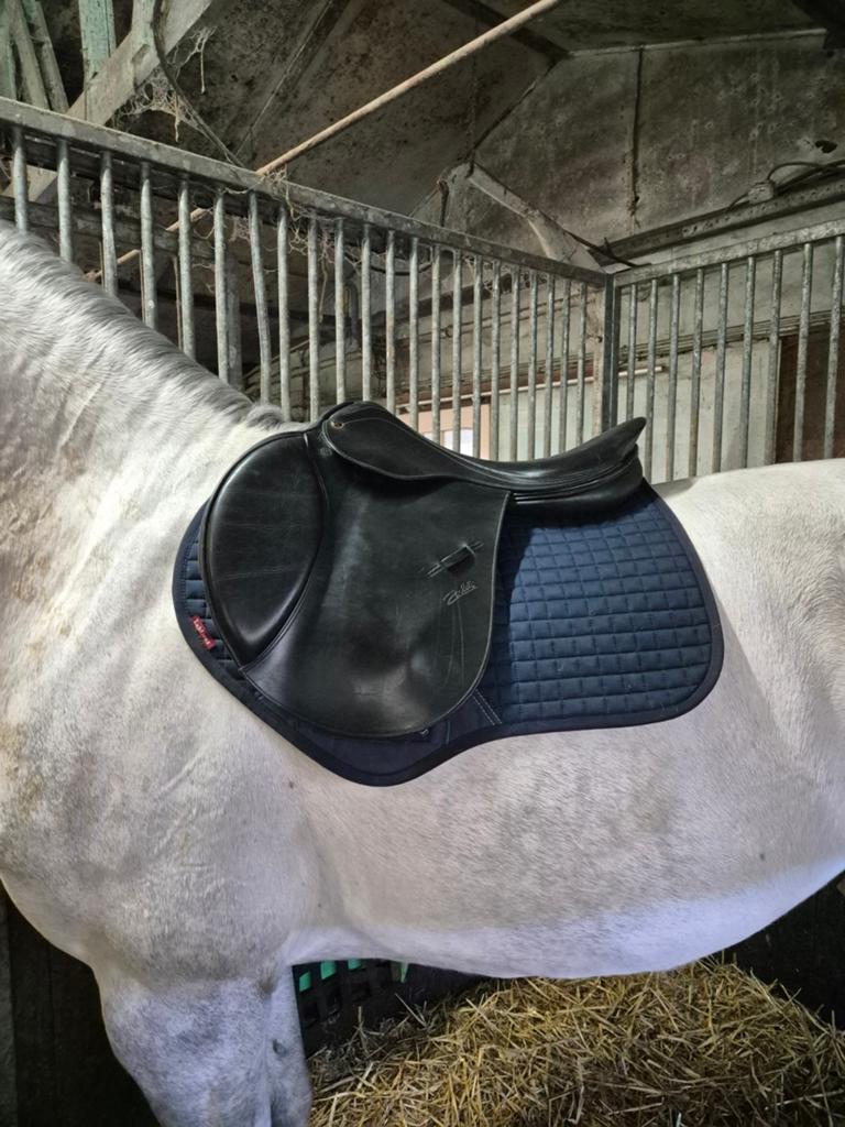 Springzadel te koop!, Dieren en Toebehoren, Paarden en Pony's | Zadels, Ophalen, Gebruikt, Springen