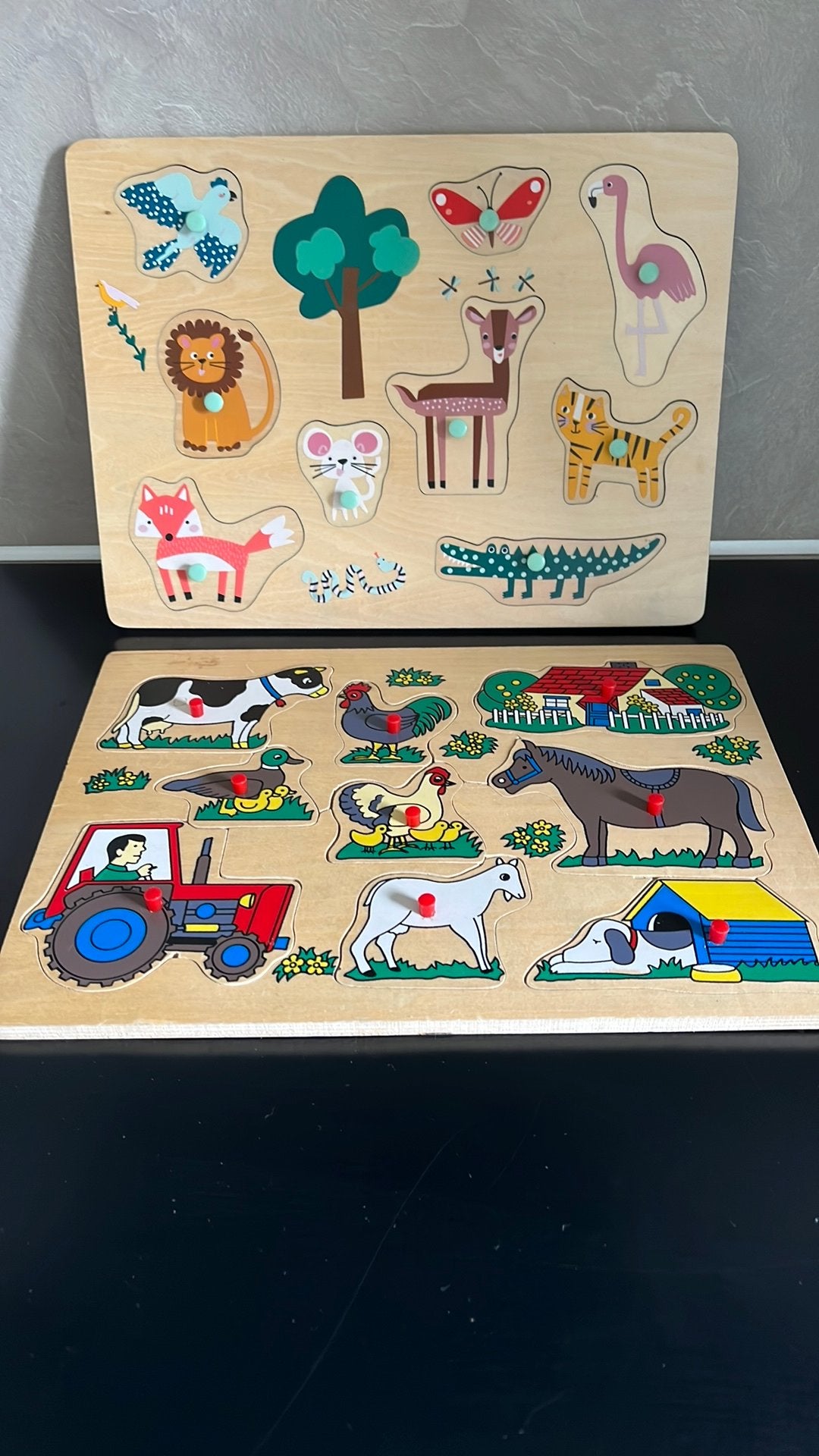 Houten puzzels, 2 tot 4 jaar, Gebruikt, Ophalen of Verzenden, Van hout