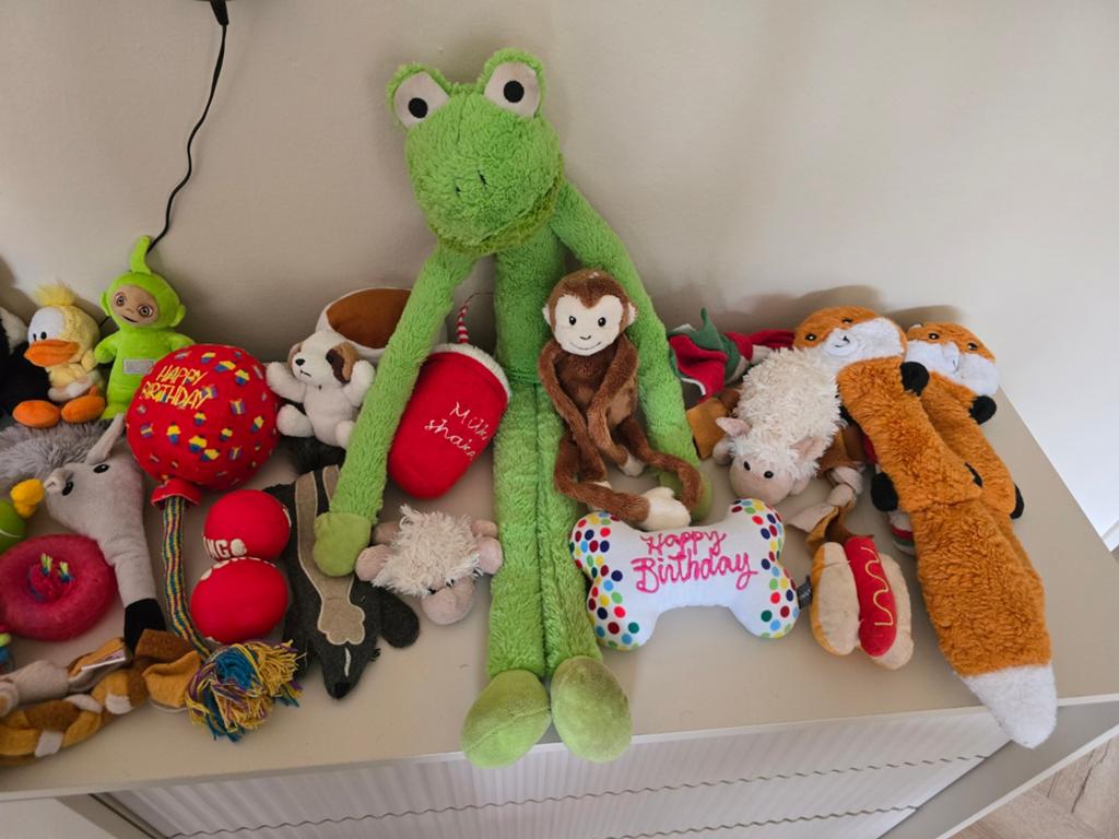 Heel veel hondenspeelgoed!, Dieren en Toebehoren, Ophalen of Verzenden, Zo goed als nieuw, Intelligentiespeelgoed