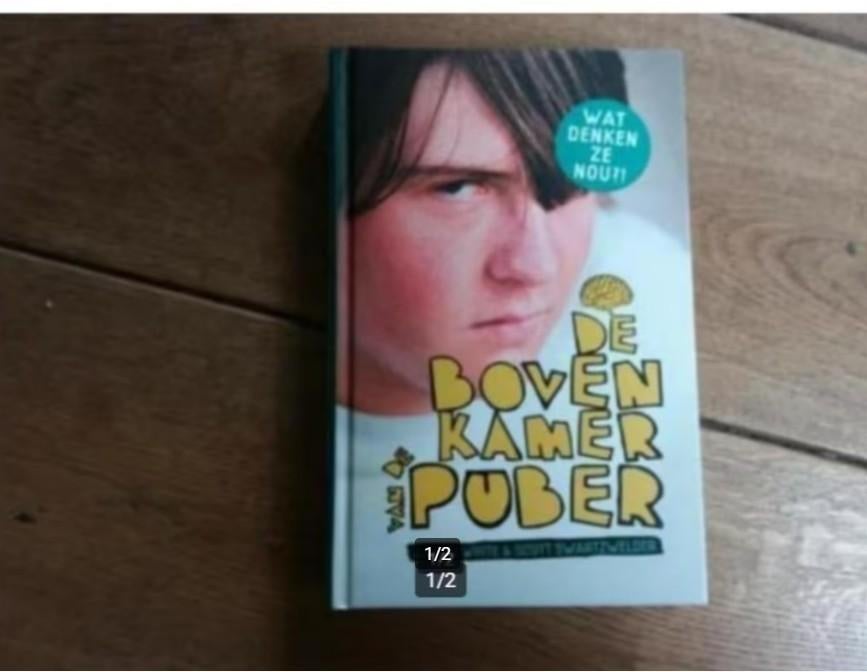 Aaron White & Scott Swartzwelder, De bovenkamer van de puber, Boeken, Ophalen of Verzenden, Zo goed als nieuw, Spiritualiteit algemeen