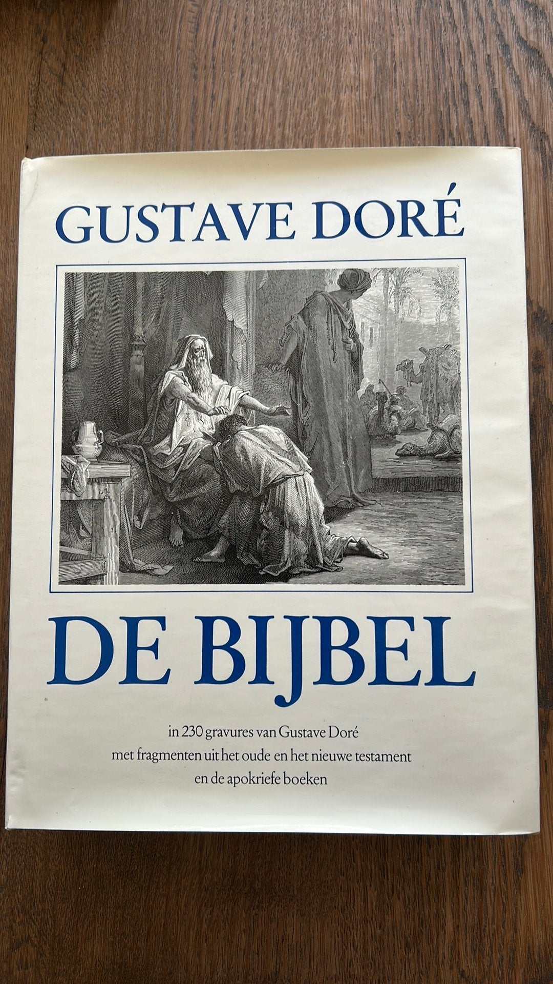 Gustave Doré - De Bijbel met 230 gravures, Boeken, Ophalen of Verzenden, Gelezen, Christendom | Katholiek