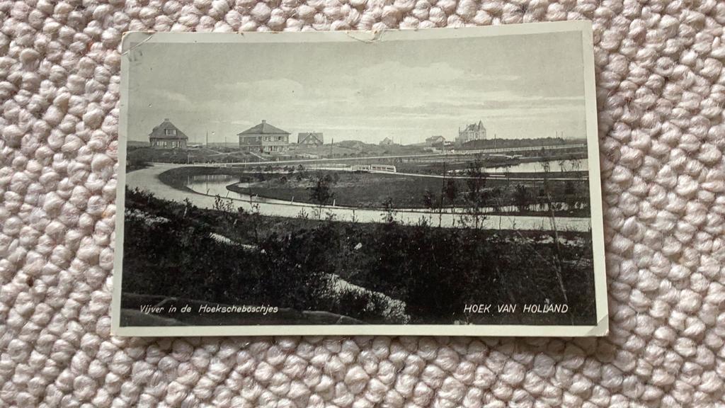 Ansichtkaart Hoek van Holland Vijver in Hoekscheboschjes1931, Ophalen of Verzenden, 1920 tot 1940, Gelopen, Noord-Holland