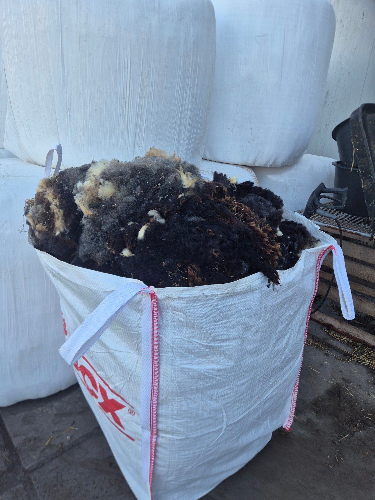 schapen wol bonte en witte
