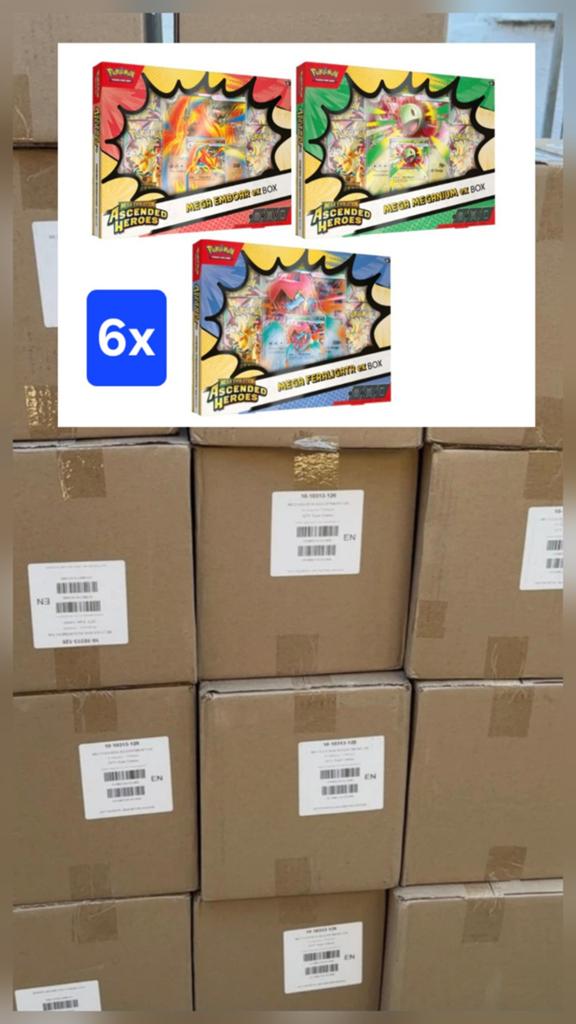 Ascended Heroes EX boxen sealed Case (6x) !!! PRE-ORDER !!!, Ophalen of Verzenden, Nieuw, Overige typen, Foil