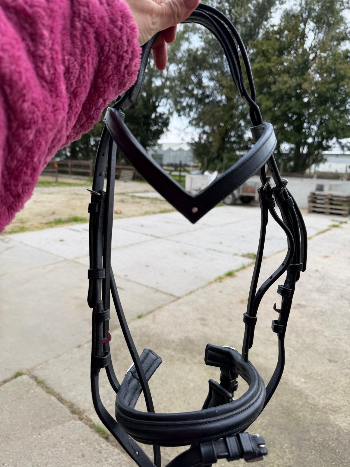 Nieuw Imperial Riding hoofstel maat pony., Dieren en Toebehoren, Hoofdstel, Nieuw, Zwart, Overige merken