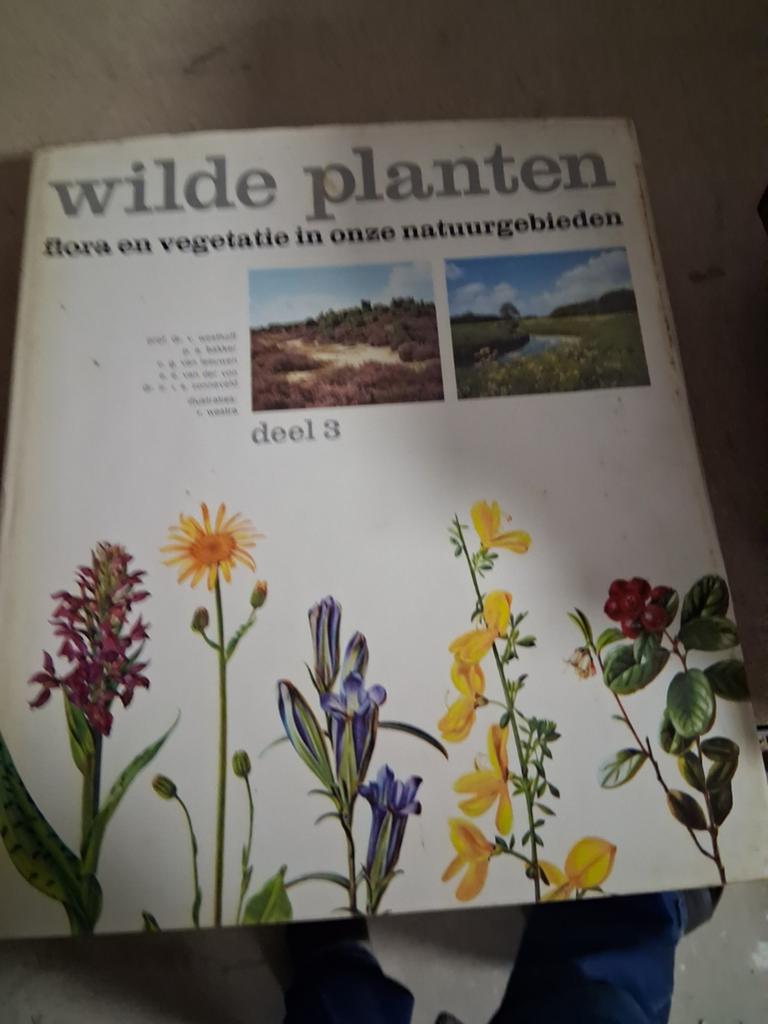 Wilde Planten: Flora en Vegetatie in Onze Natuurgebieden, Boeken, Ophalen of Verzenden