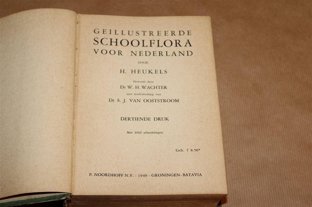 Geïllustreerde Schoolflora voor Nederland — Heukels 1949, Boeken, Natuur, Ophalen of Verzenden, Gelezen