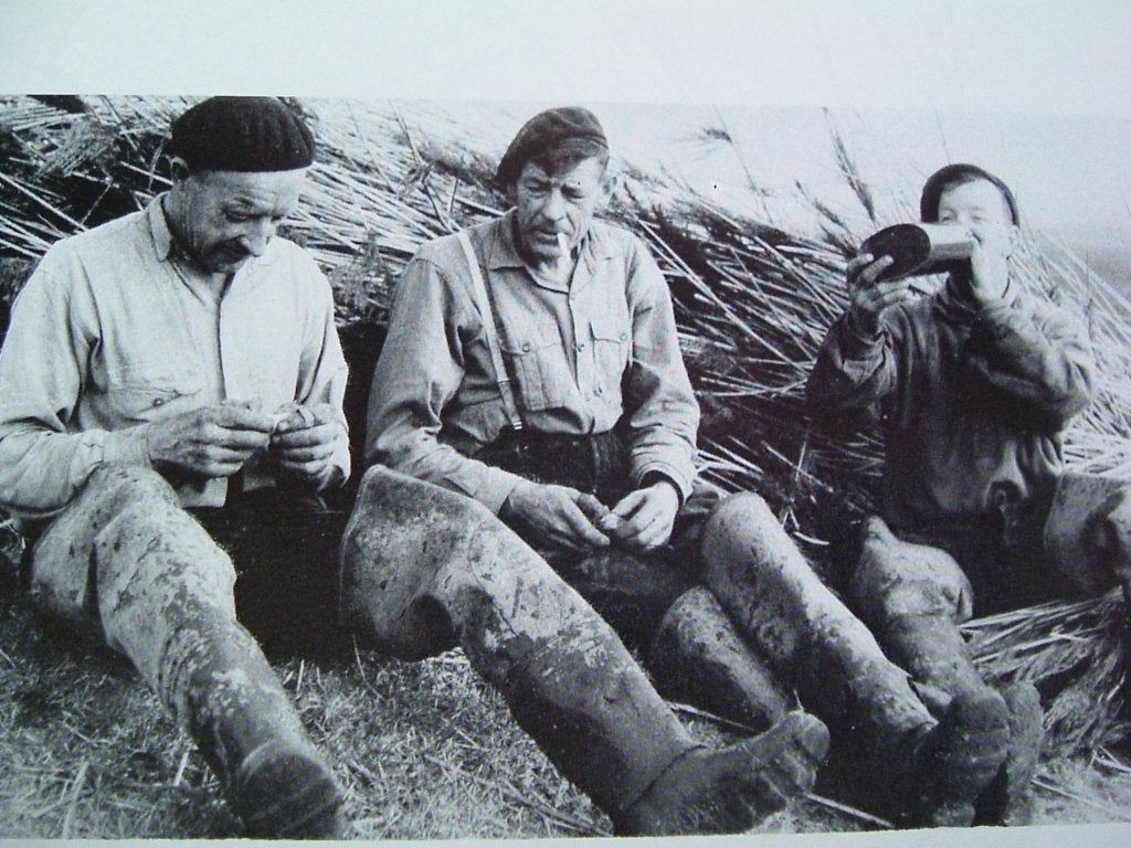 De ruige Biesbosch., Boeken, Geschiedenis | Vaderland, Gelezen, 20e eeuw of later, Ophalen of Verzenden