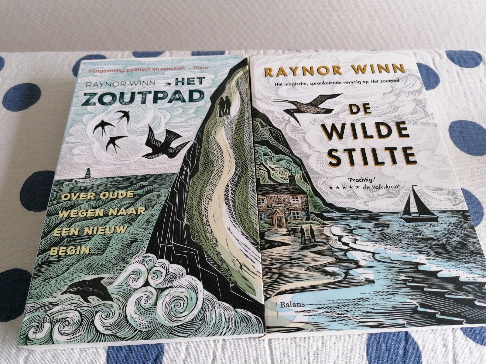 2x Raynor Winn -Het zoutpad en De wilde stilte, Ophalen of Verzenden, Zo goed als nieuw, Raynor Winn