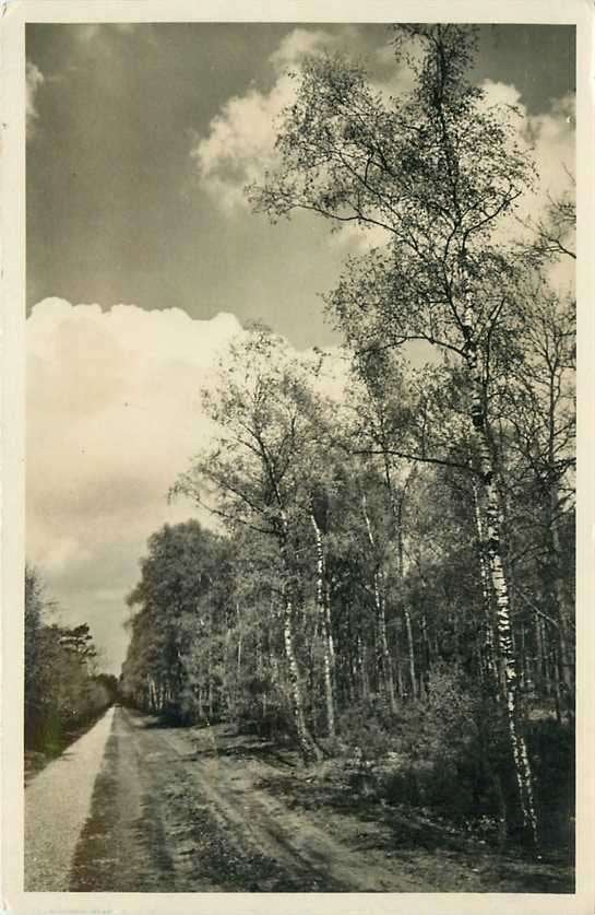 380-899-043 Otterlo De Hoge Veluwe, Verzenden, Voor 1920, Gelderland