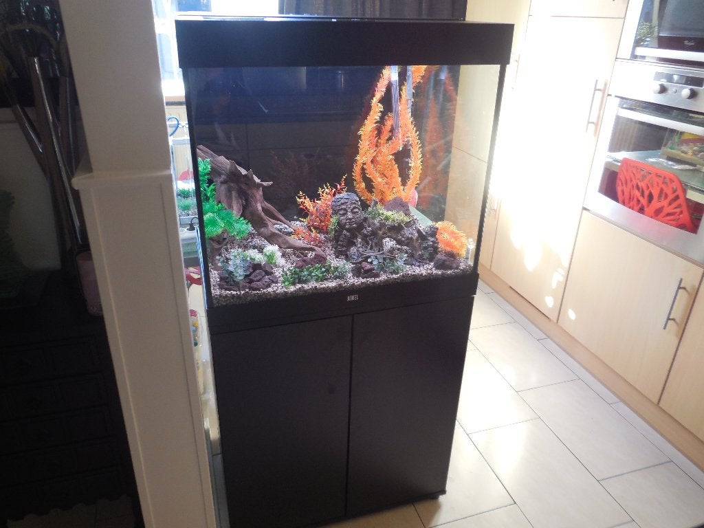 complete juwel lido 200 led met toebehoren en inrichting, Ophalen, Zo goed als nieuw, Leeg aquarium, Pomp