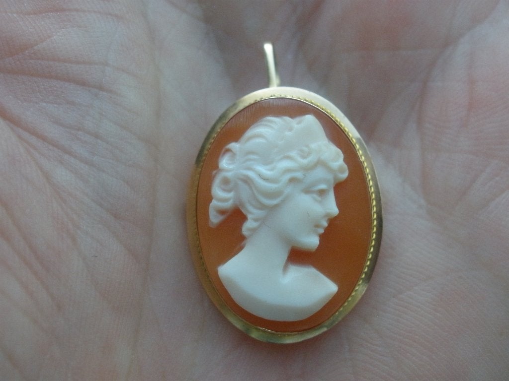 14 k Gouden Camee Hanger/Broche uit Zeeuwse boedel, Ophalen of Verzenden, Zo goed als nieuw, Goud, Goud