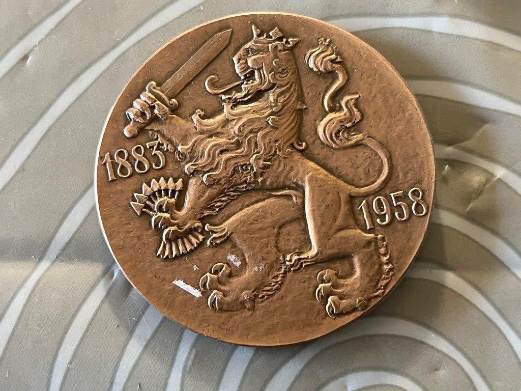 Penning met ridder en leeuw, Ophalen of Verzenden, Overige materialen