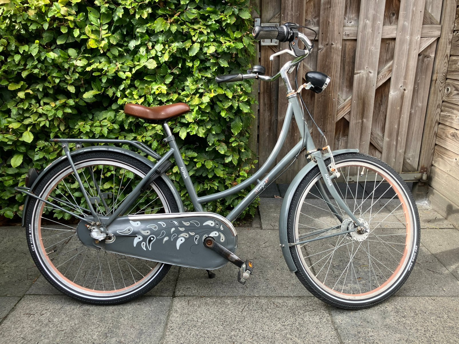 Alpina Tingle meisjesfiets 24 inch, Fietsen en Brommers, Fietsen | Meisjes, Ophalen, Terugtraprem, Versnellingen, Gebruikt