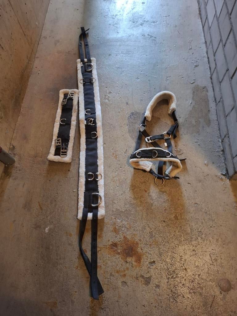 Longeer set maat cob, Dieren en Toebehoren, Ophalen of Verzenden