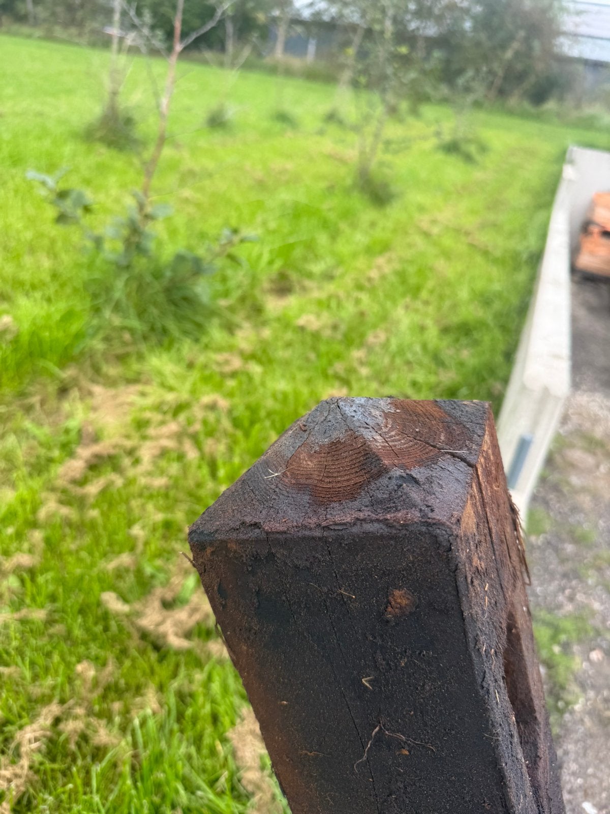 Doorsteekschutting, Ophalen, Zo goed als nieuw, 250 cm of meer, Balken