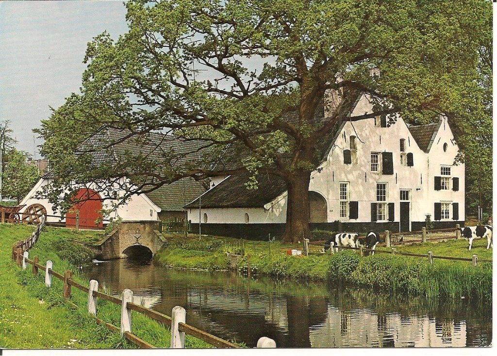Ansichtkaart Arnhem, De Witte Molen in het park Sonsbeek, Ophalen of Verzenden, 1980 tot heden, Ongelopen, Gelderland