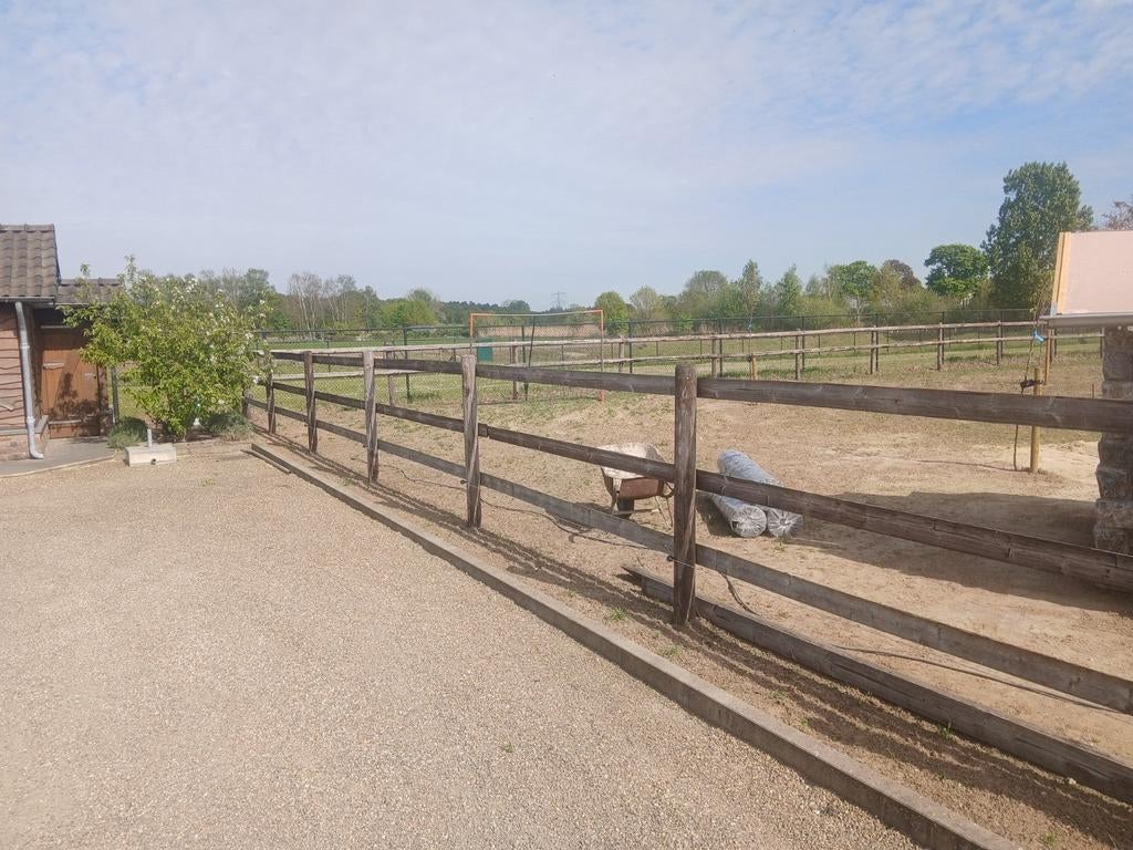 Rijbak paarden sport 32 x 22 meter, Dieren en Toebehoren
