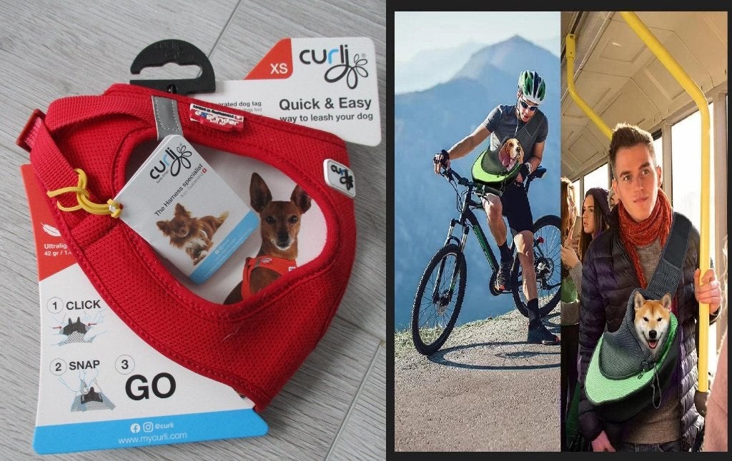 Honden Harnas Curli maat XS + Draagtas kleine hond, Ophalen of Verzenden, Nieuw