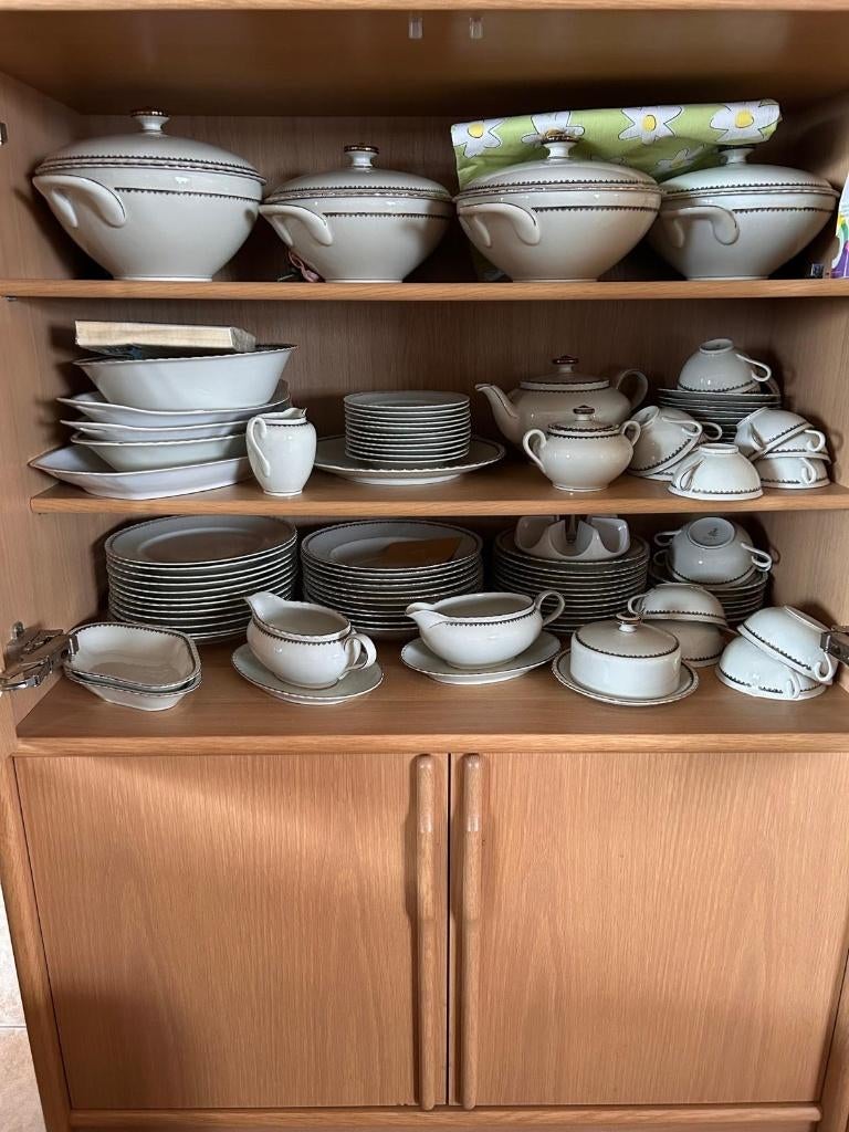 Groot Winterling porseleinen servies - Marktleuthen Bavaria, Ophalen