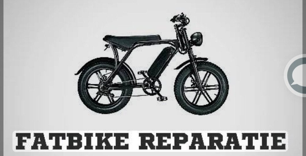 Fatbike Reparatie Service, Fietsen en Brommers, Elektrische fietsen, Ophalen