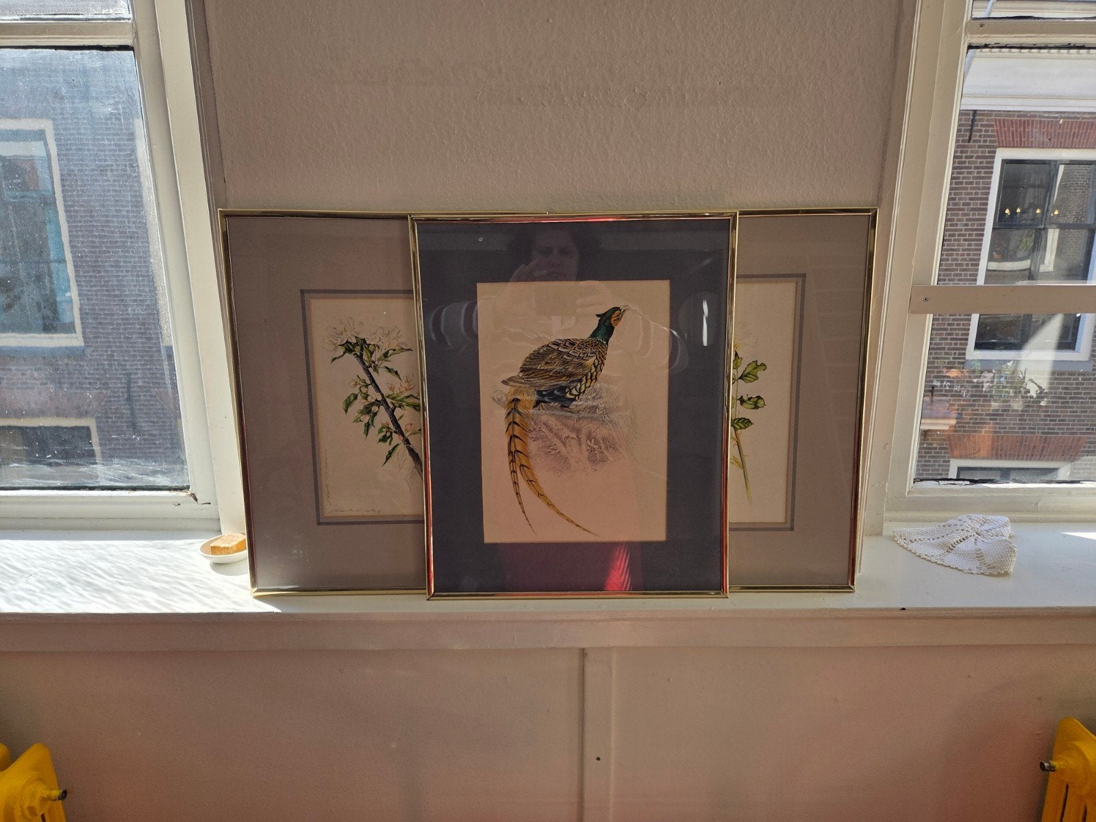 Set van 3 ingelijste botanische prints en fazant, Ophalen, Print, Print/reproductie, Ingelijst