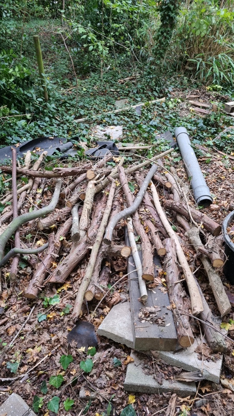 Diverse takken en hout voor brandhout, Minder dan 3 m³, Ophalen, Overige houtsoorten, Takken