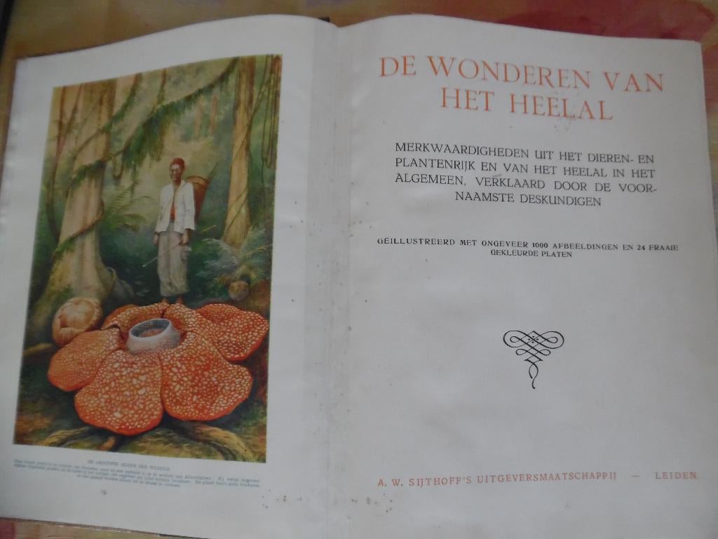 De Wonderen van het Heelal, Uitg. Sijfhoff, Ophalen of Verzenden, Gelezen, Natuurwetenschap