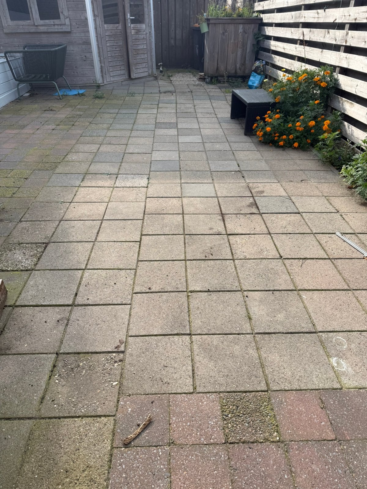Gratis (stoep)tegels af te halen, Ophalen, Zo goed als nieuw, Beton, Terrastegels