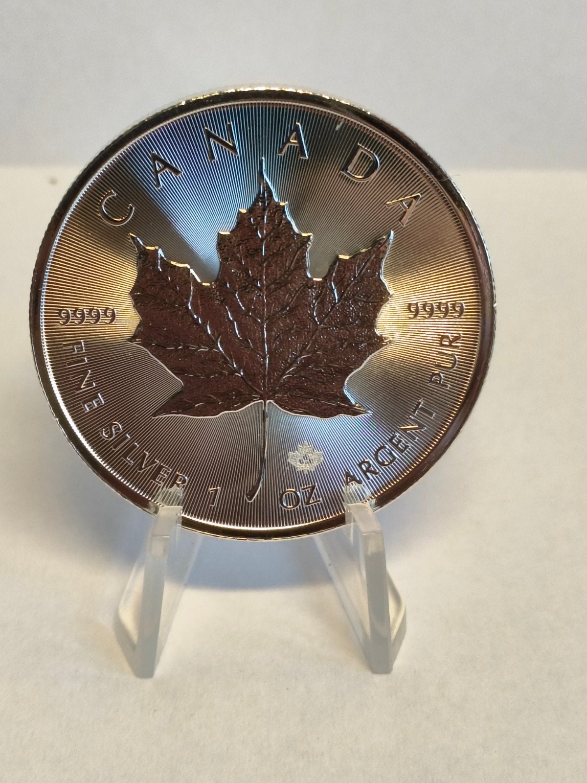 1 oz Zilveren Maple Leaf Munt - Canada, Ophalen of Verzenden