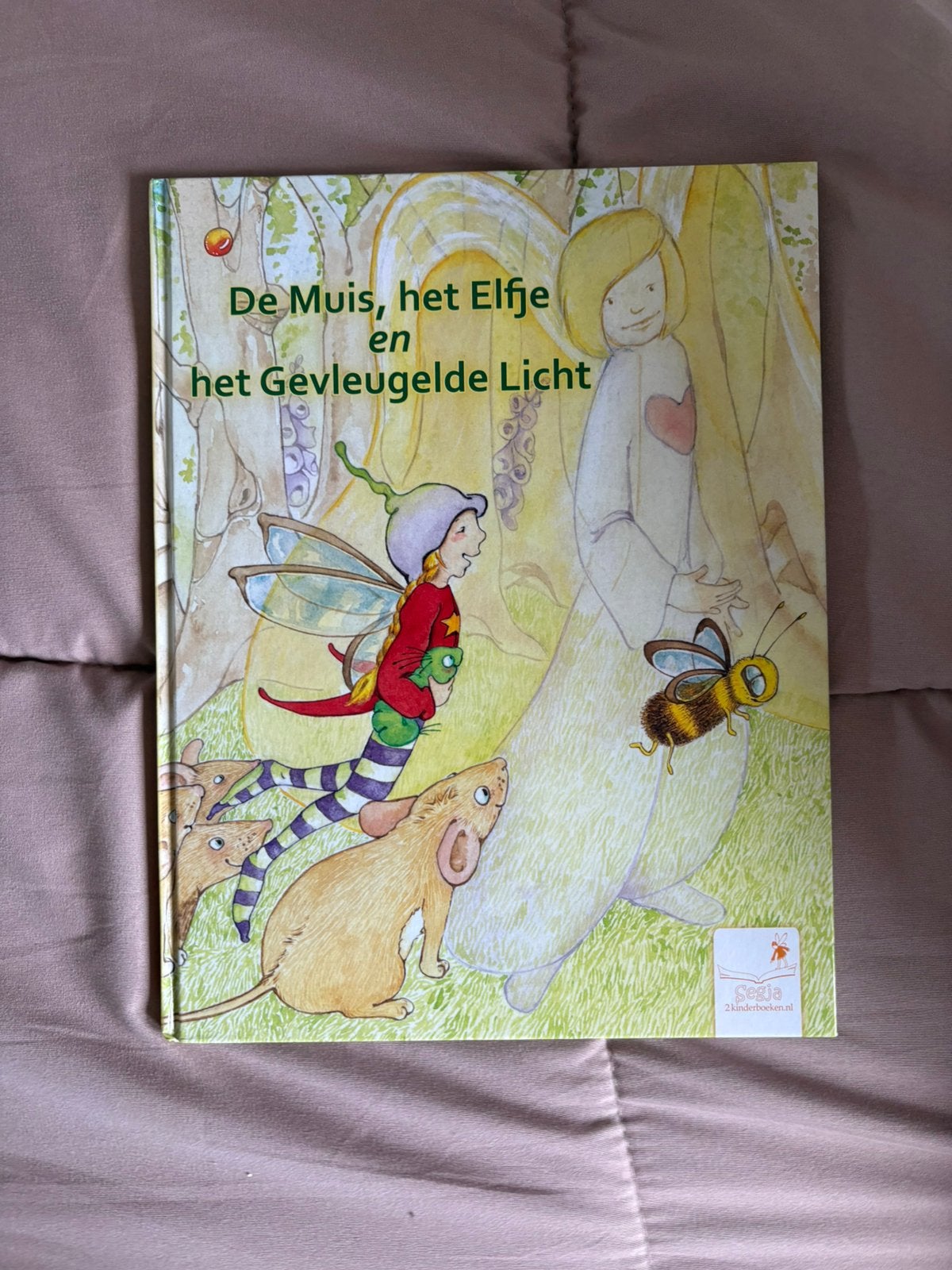 De muis, het elfje en het gevleugelde licht boek, Ophalen of Verzenden, Zo goed als nieuw