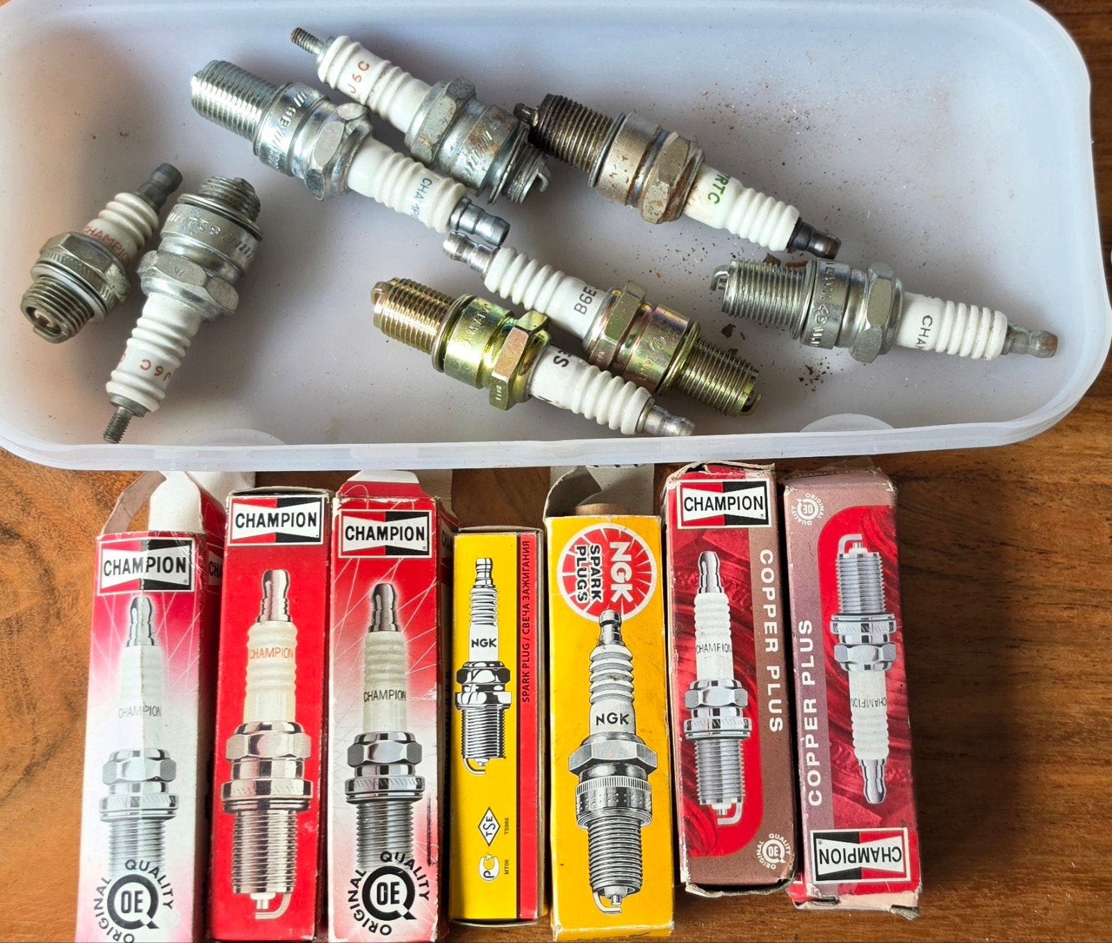 Bougies: Nieuw. Champion, NGK, Ophalen of Verzenden, Nieuw, Overige automerken