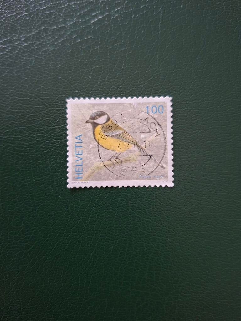 Vogel. Koolmees.  Zwitserland, Ophalen of Verzenden, Dier of Natuur