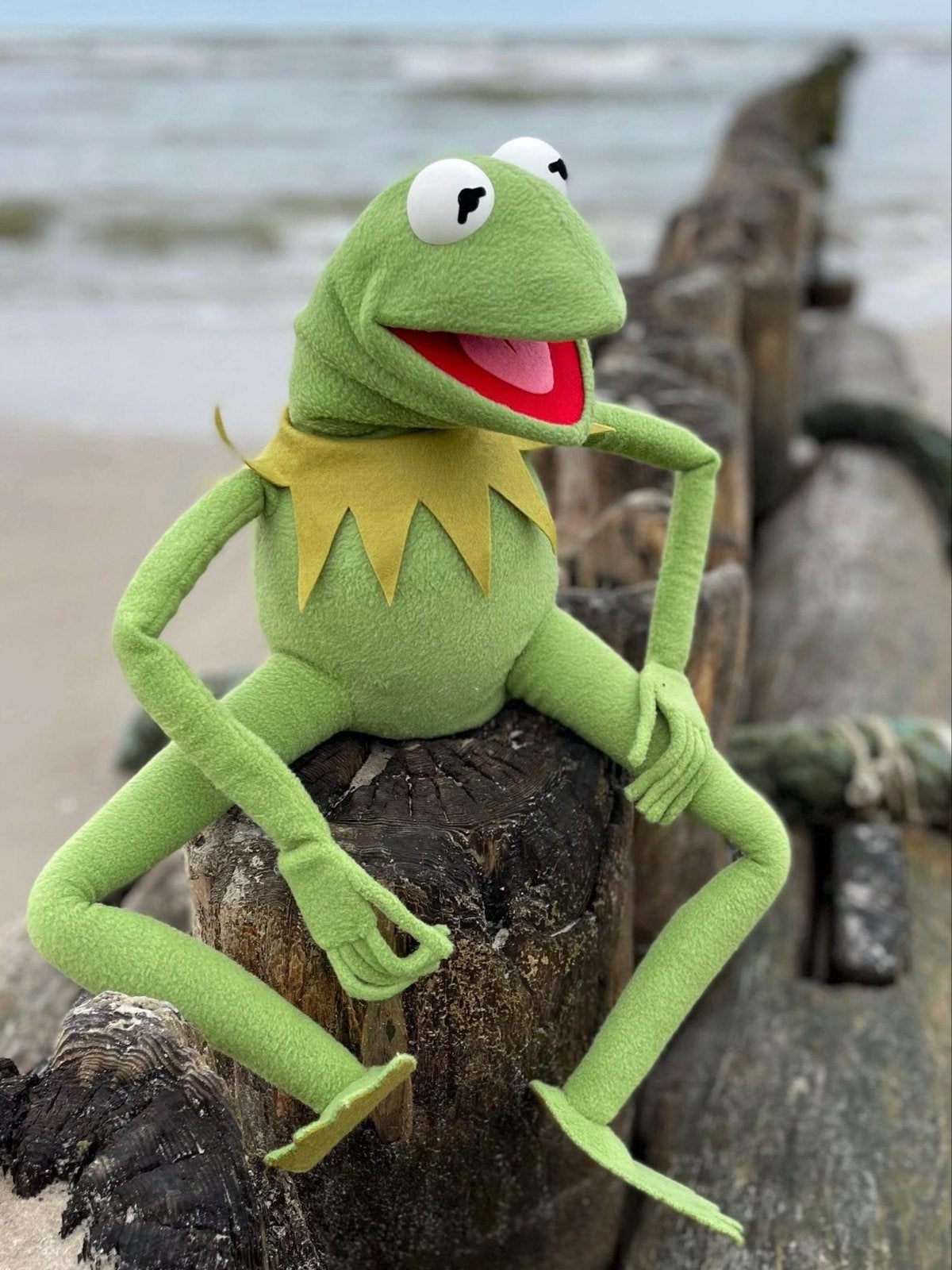 Kermit de Kikker knuffel - Muppets, Ophalen of Verzenden, Nieuw