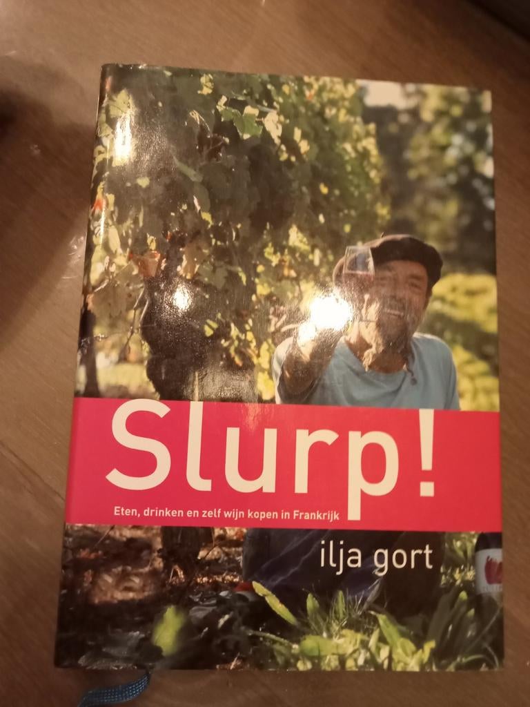 Ilja Gort - Slurp!, Boeken, Kookboeken, Ophalen of Verzenden, Zo goed als nieuw, Ilja Gort, Frankrijk