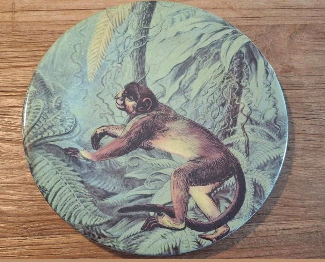 Decoratieve Wandplaat Aap in Jungle - 22 cm, Ophalen
