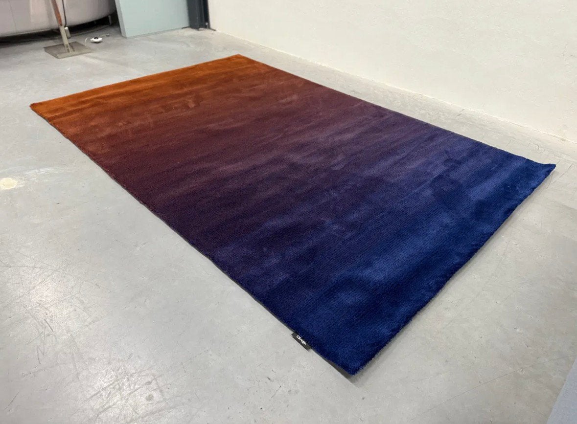 Carpet Sign camaleon vloerkleed 200x300cm nieuw 2025, Huis en Inrichting, Stoffering | Tapijten en Kleden, Info@micheldethouars.nl
