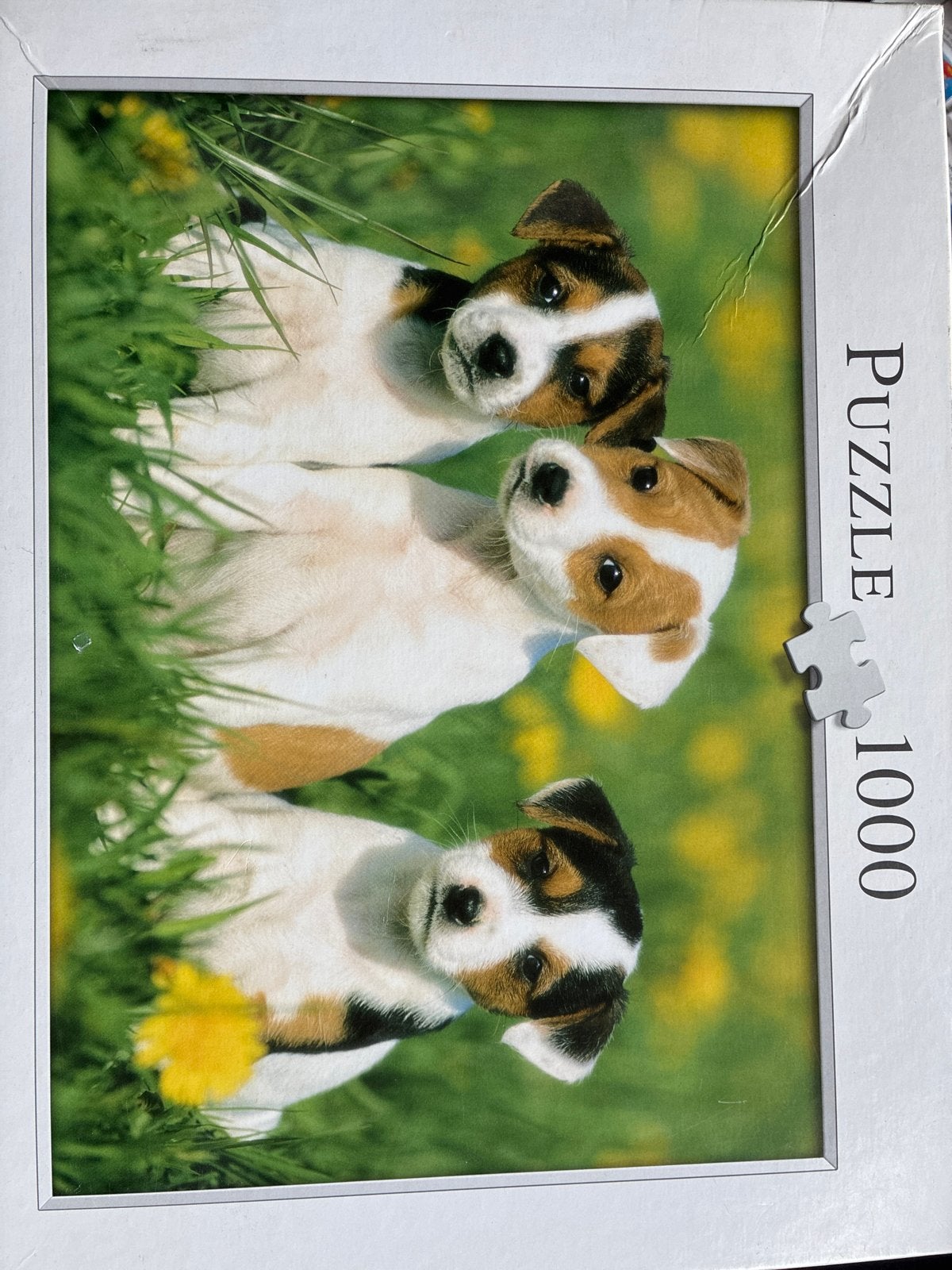 Puzzel 1000 stukjes met schattige puppy's, Ophalen of Verzenden, 500 t/m 1500 stukjes, Gebruikt, Legpuzzel
