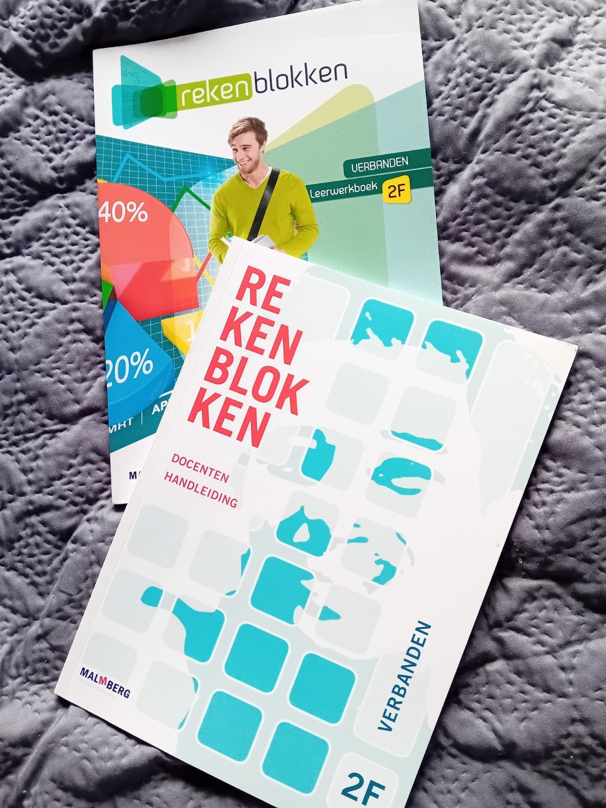 Rekenblokken 2F Verbanden,leerwerkboek en docentenhandleidin, Overige vakken, Ophalen of Verzenden, Zo goed als nieuw, Anneke van Gool, Anke Fourdraine