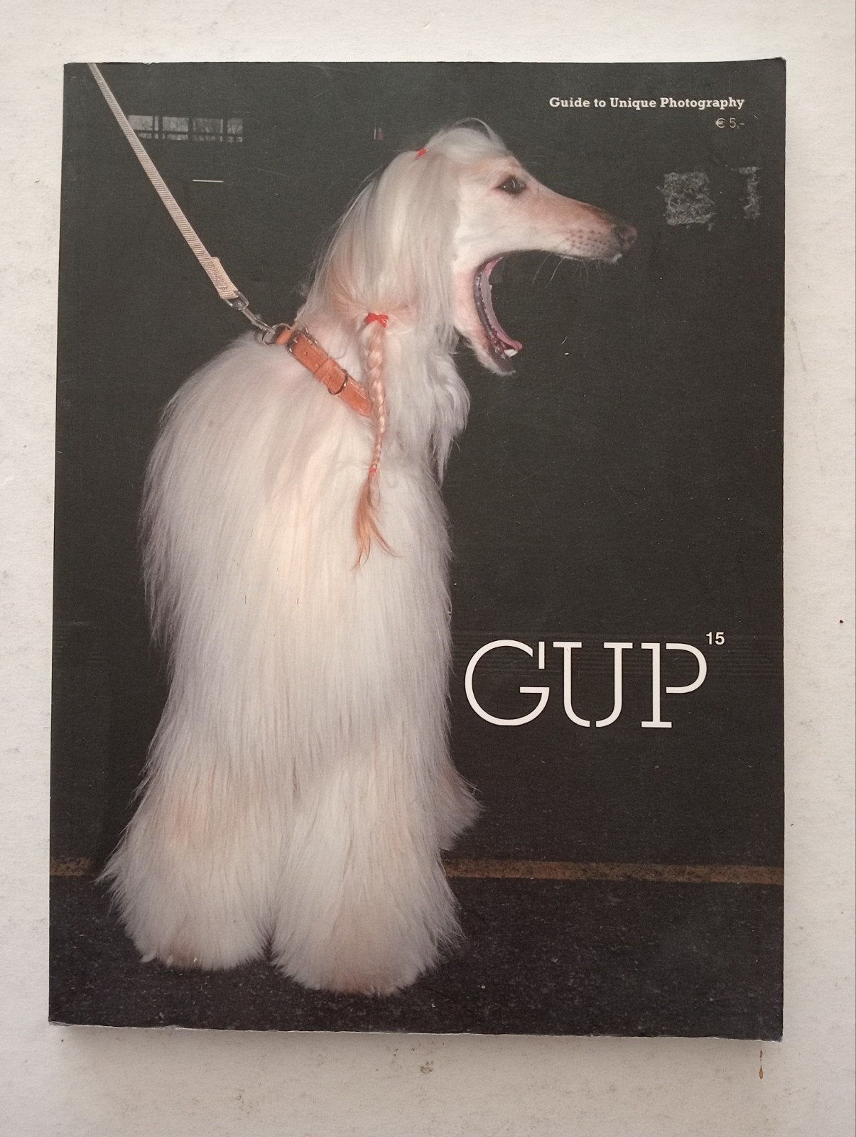 GUP photography magazine, Boeken, Ophalen of Verzenden, Gelezen, Fotografen