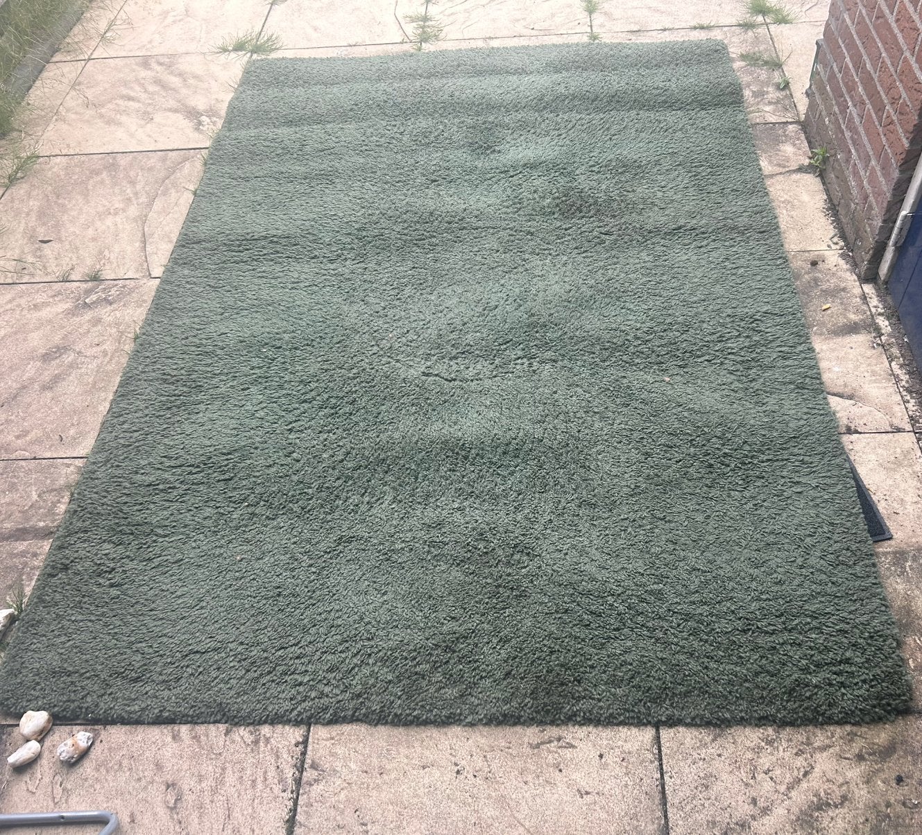 Groen tapijt, Ophalen, Gebruikt, 200 cm of meer, Rechthoekig