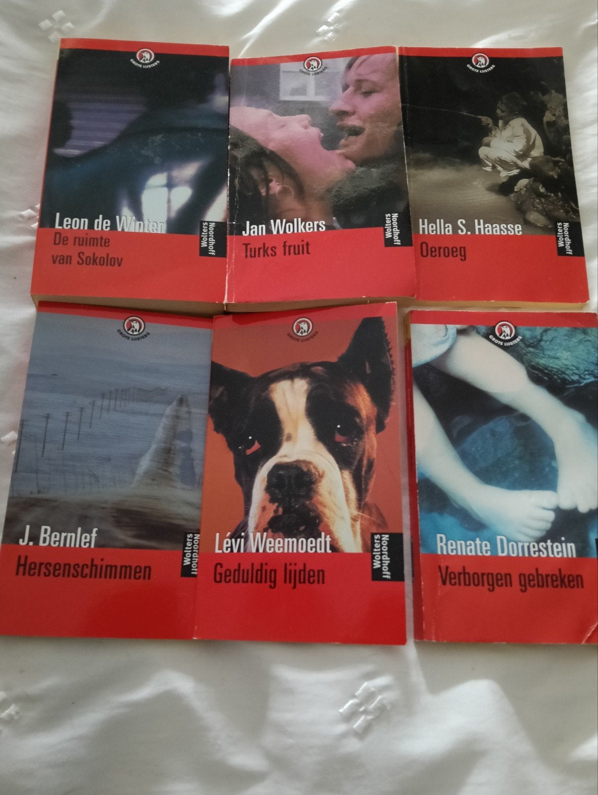 6 Wolters Noordhoff Grote Lijsters boeken, Ophalen of Verzenden, Gelezen, Diverse auteurs, Nederland