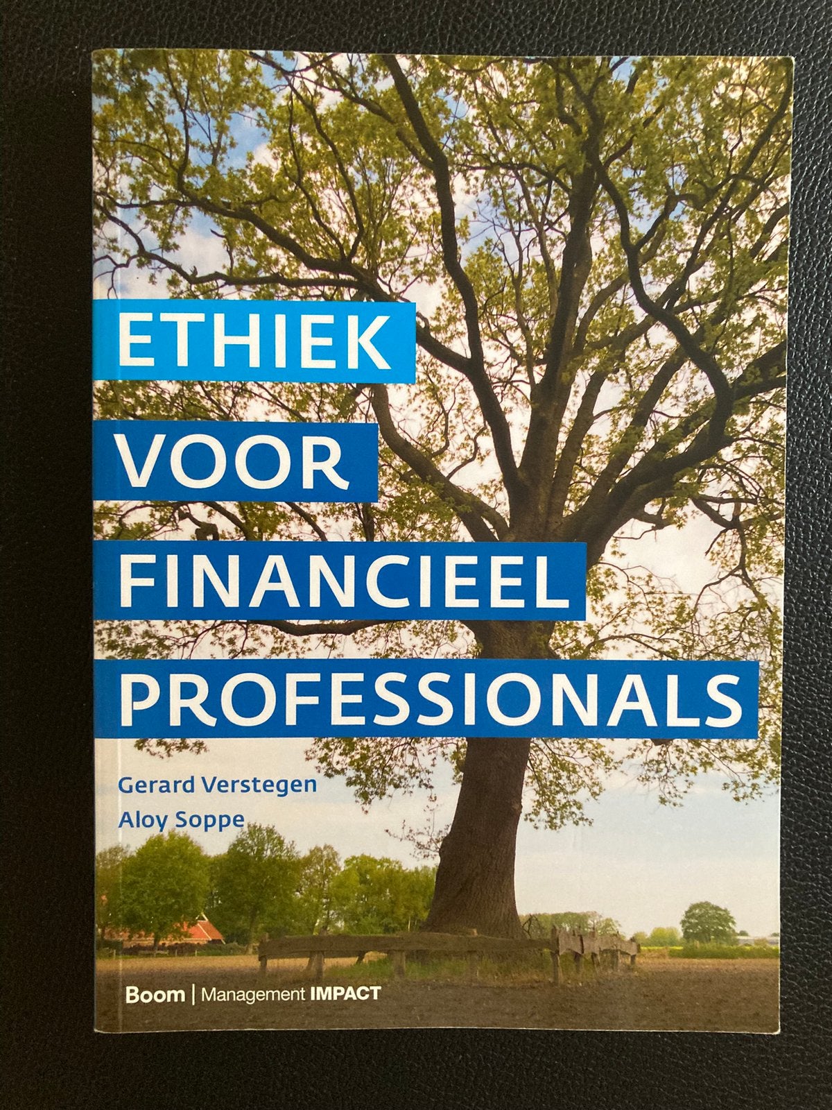 Aloy Soppe - Ethiek voor financieel professionals, Sociale wetenschap, Ophalen of Verzenden, Zo goed als nieuw, Aloy Soppe; Gerard Verstegen